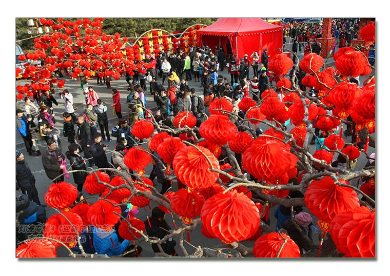 灯笼专辑4--5-5图《迎新年的红灯笼》北京春节--支箭-独创用摄影杆撑相机拍摄.jpg