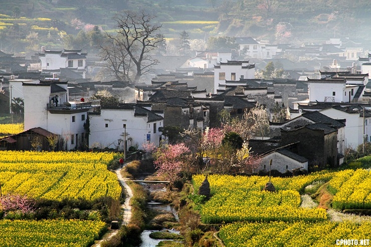 庆源.jpg