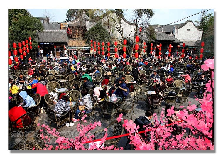茶馆专辑4--5图-4《茶馆冬季阳光地带》四川喝茶文化--支箭-独创用摄影杆撑相机摄于成都城中.jpg