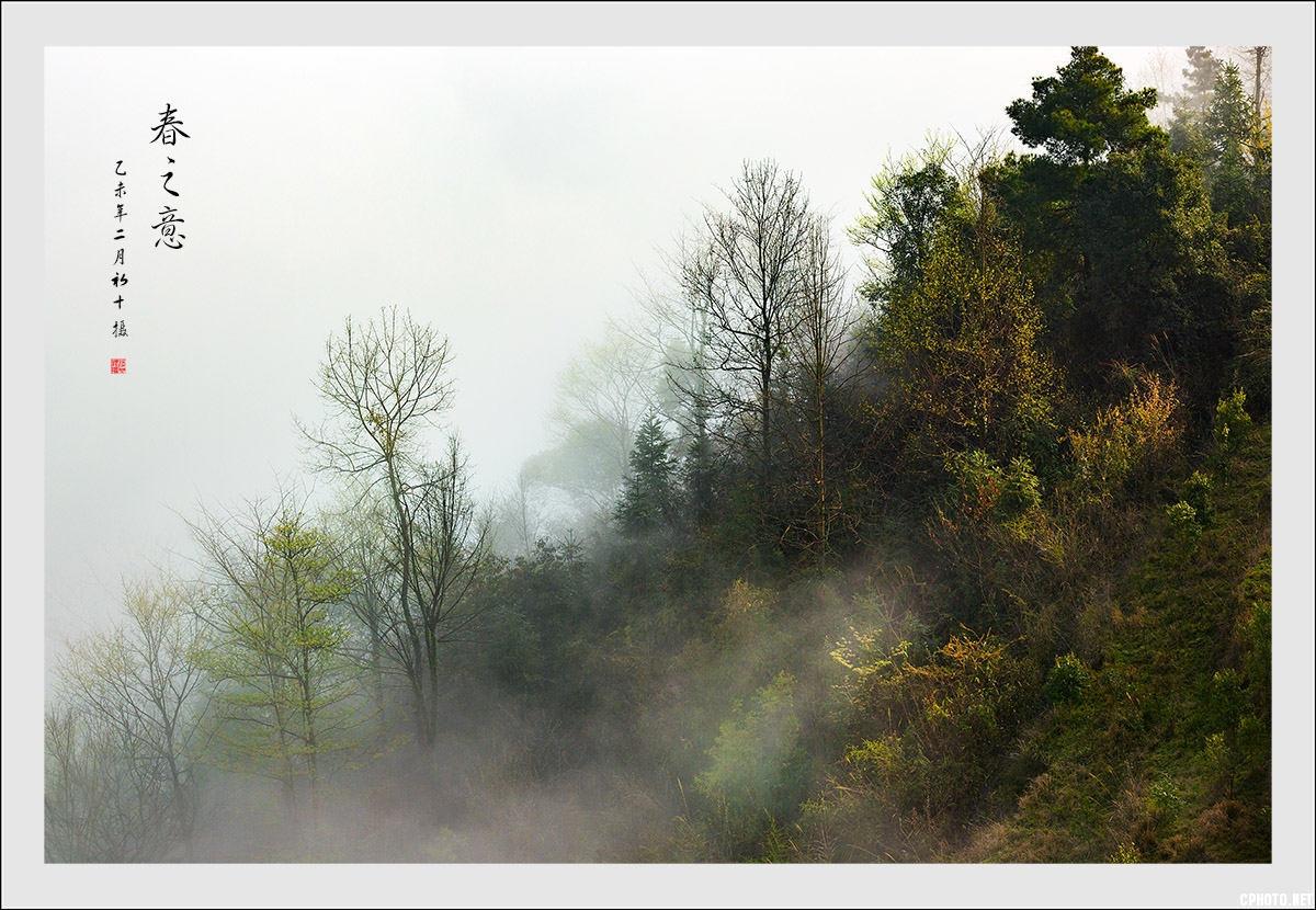 D3_8539.jpg