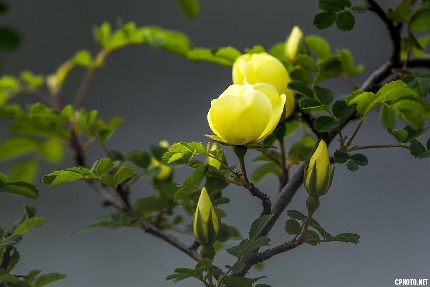 _FSC0180.jpg