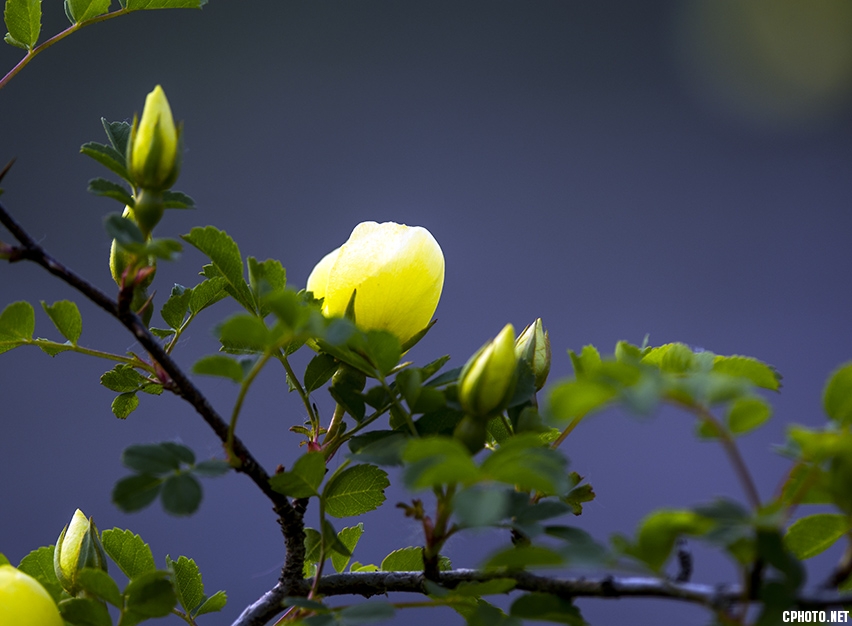 _FSC0181.jpg