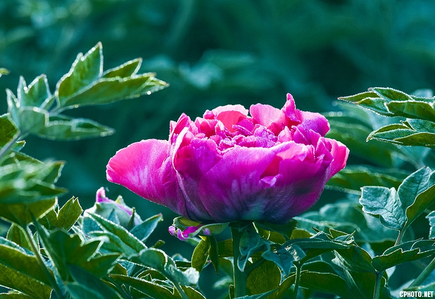 _FSC1327.jpg