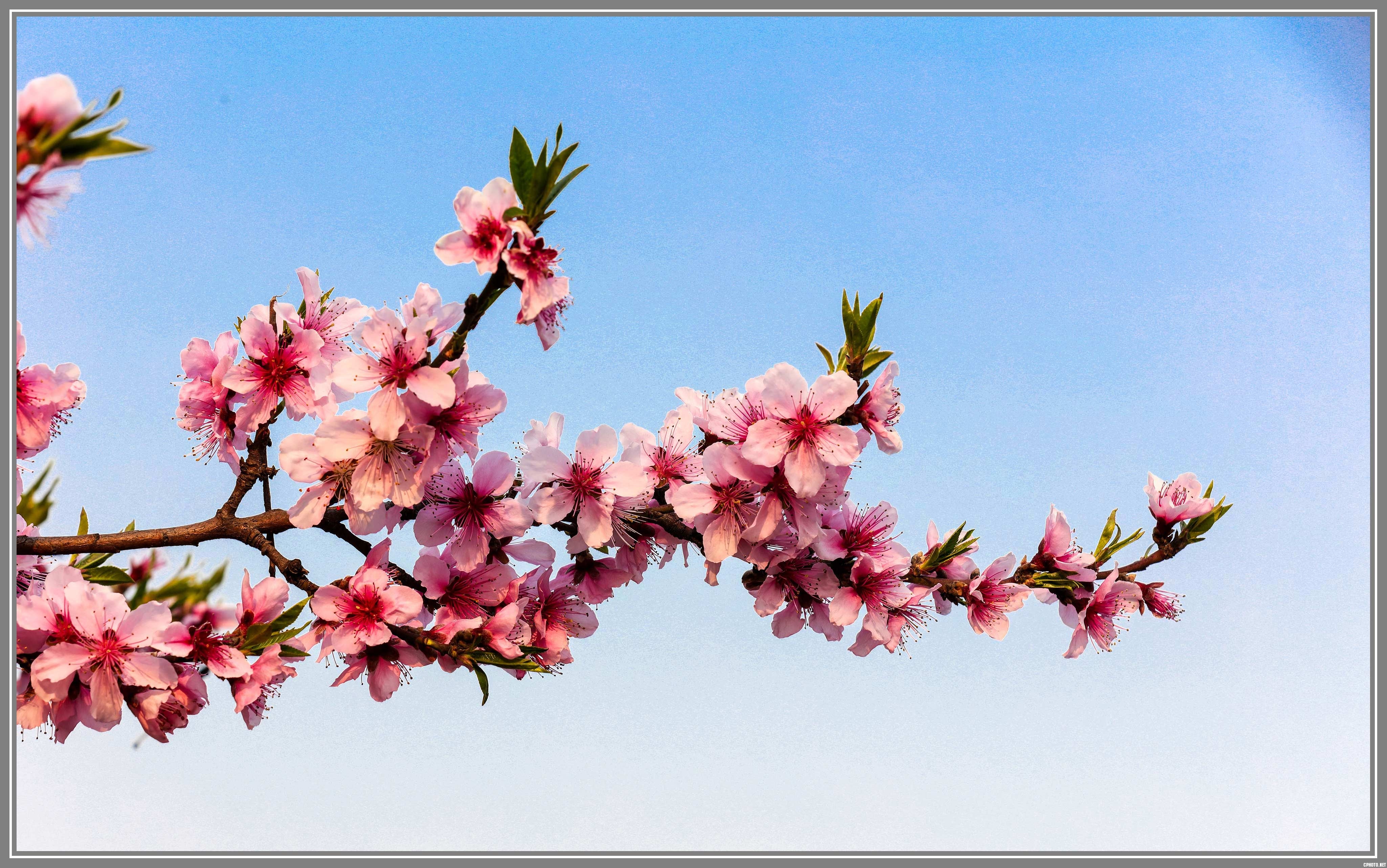 A89A1207-编辑.jpg