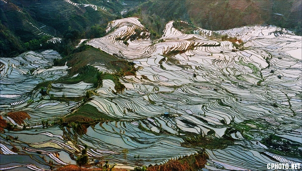 《巧奪天工》   攝影：佘佳虎_調整大小.jpg