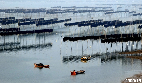 FIAP金牌 《海灘韻律》   攝影：佘佳虎_調整大小.jpg