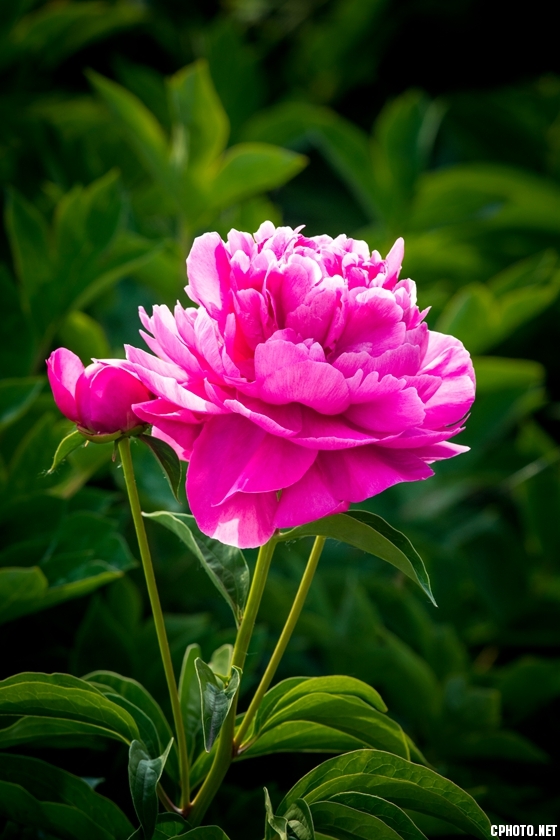 _FSC3048_副本.jpg