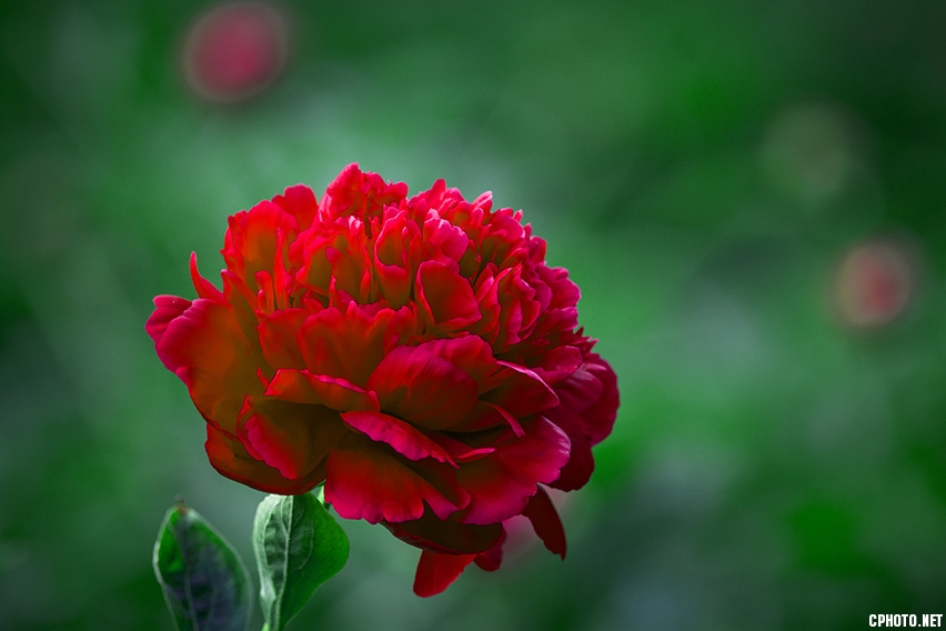 _FSC3194.jpg