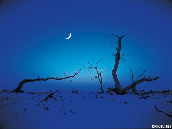 月夜 王汉冰_调整大小.jpg