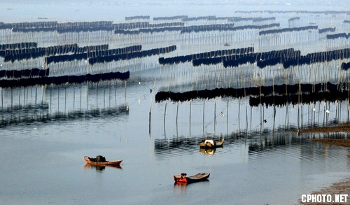 Seashore Rhythm海滩韵律_调整大小.jpg