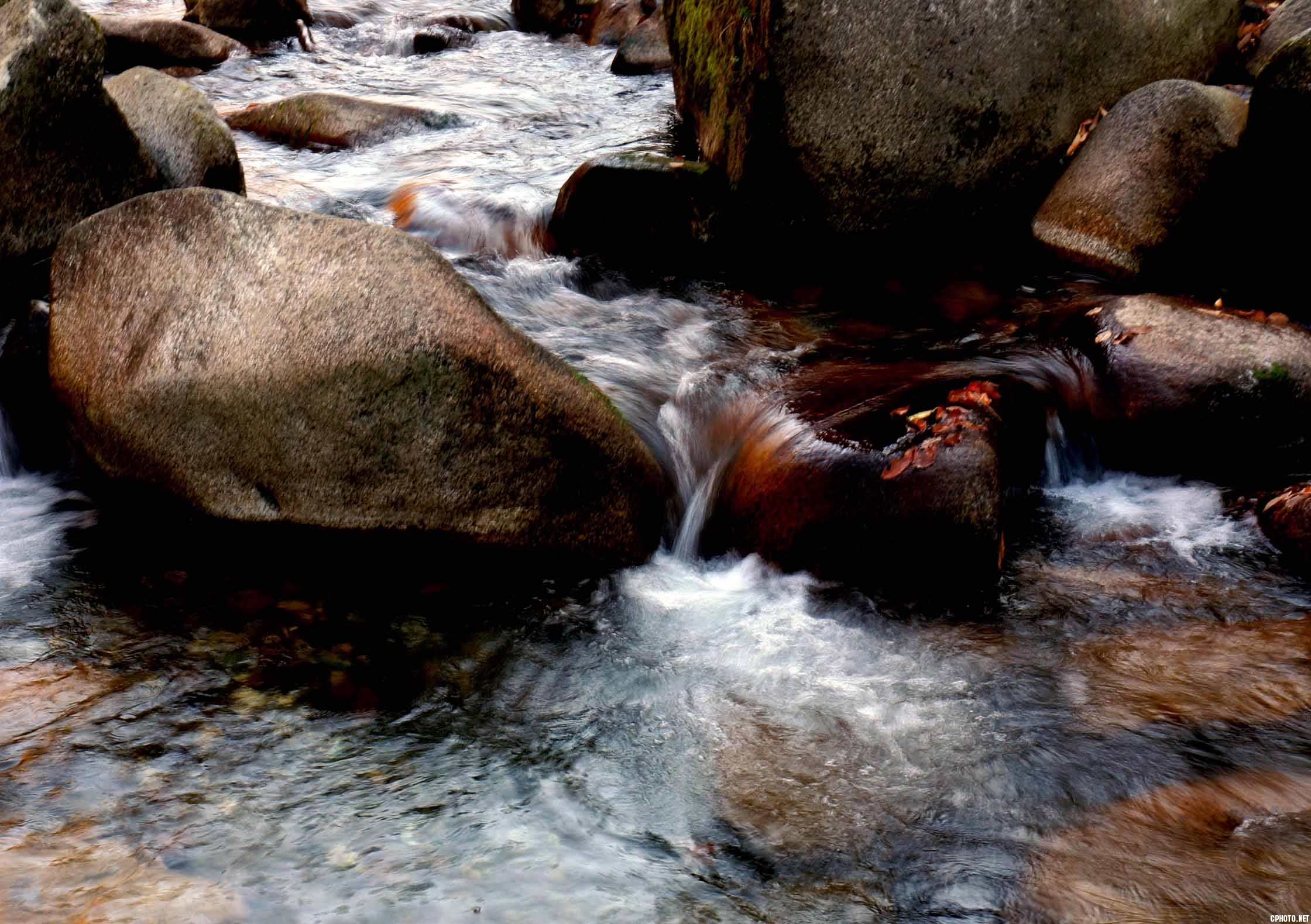 DSC01887.jpg