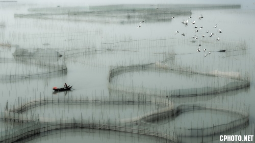 flying over the sea海上飞歌_调整大小.jpg