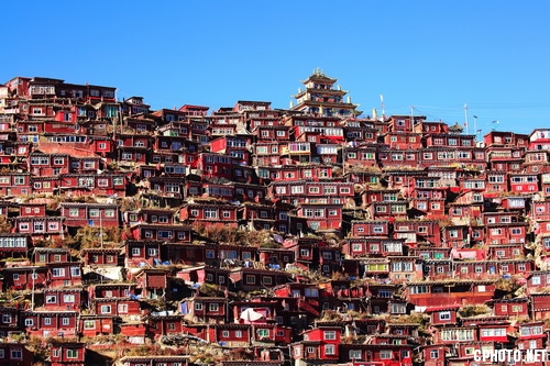 Red City红城_调整大小.JPG