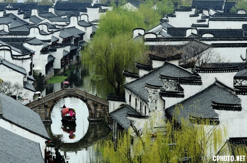 SPRING IS COMING春来到_调整大小.jpg