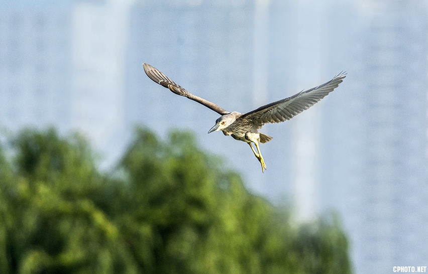 _FSC9795.jpg