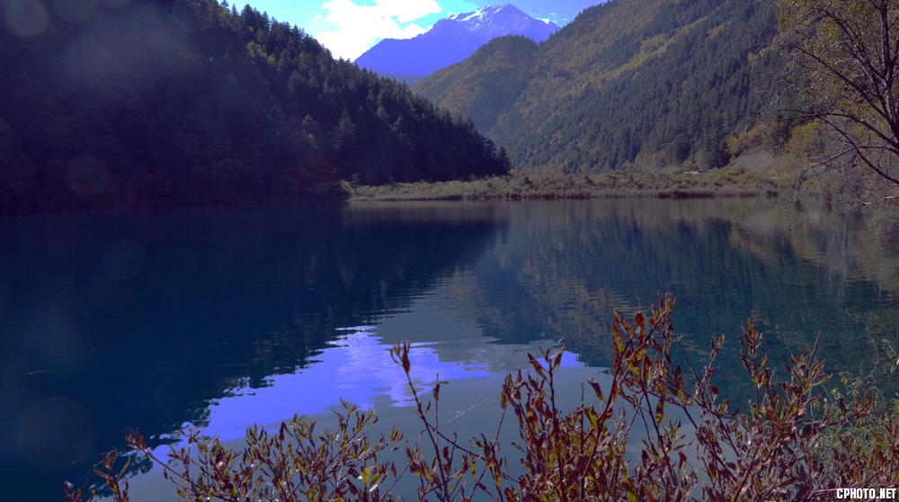 DSC_9105.JPG