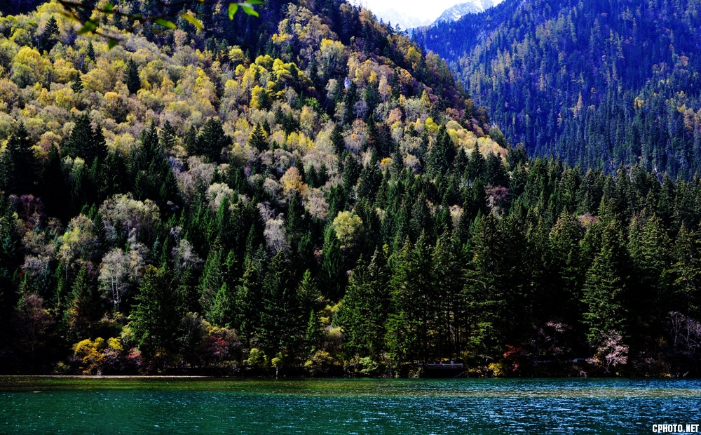 DSC_9175.JPG