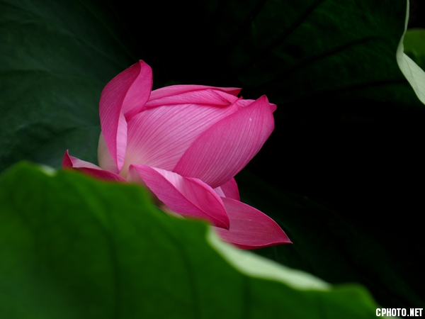 IMG_7317_副本_副本.jpg