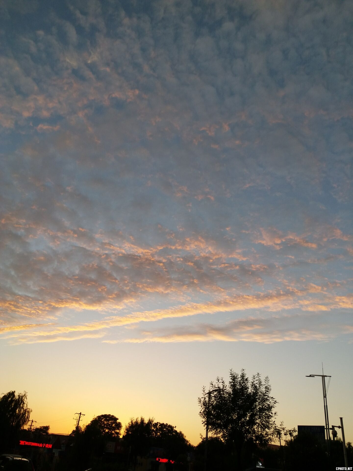 B25B46B0FE631CB2B7D9BDEB88C7E5D1.jpg