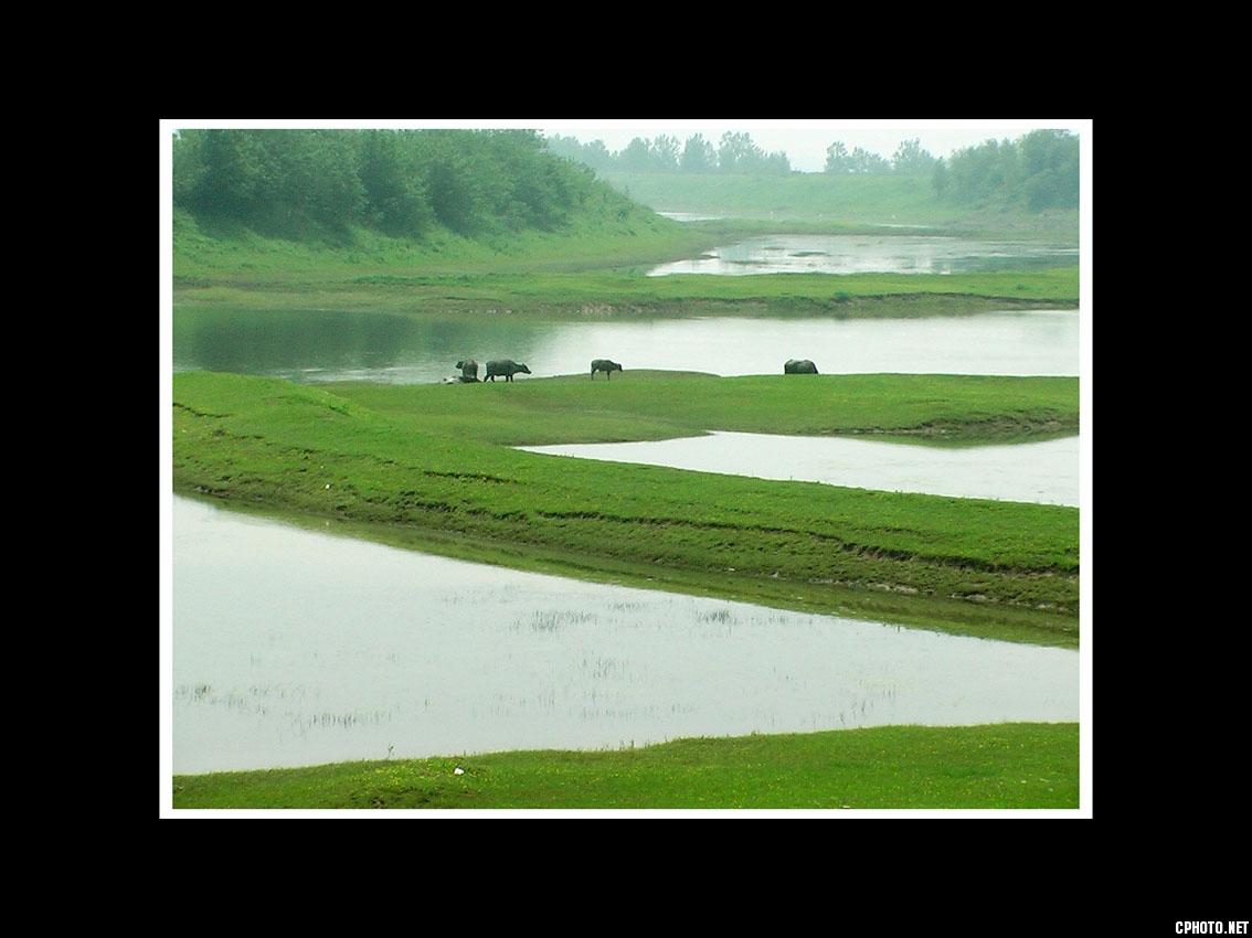 IMGA0999.jpg