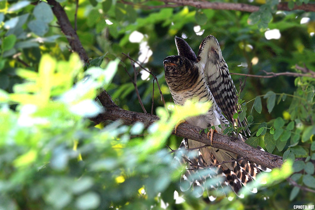 DSC_2920_副本_副本.jpg