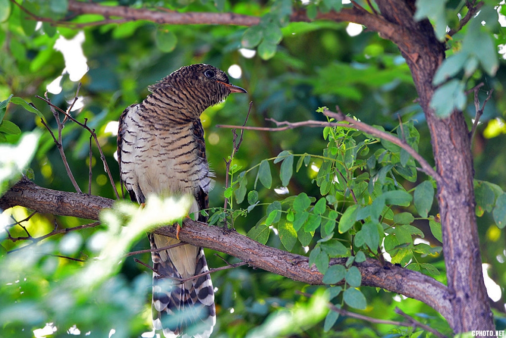 DSC_2895_副本_副本.jpg