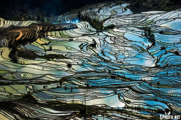 迷人的田野.JPG