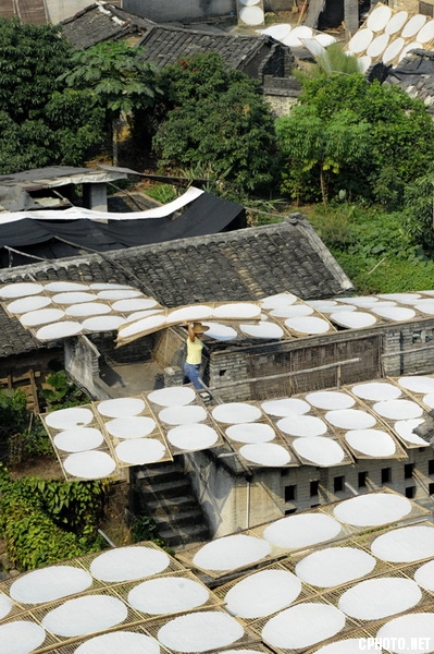 Chinese rice noodle mill 3.jpg