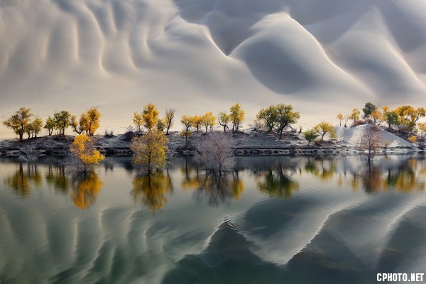 沙海胡杨.jpg