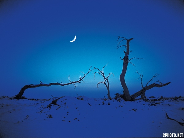 月夜.jpg