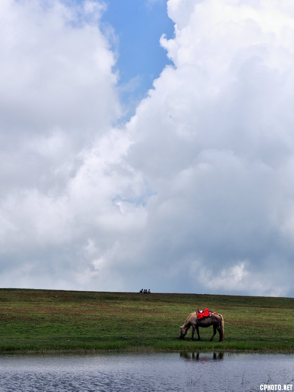 DSC_1988.jpg