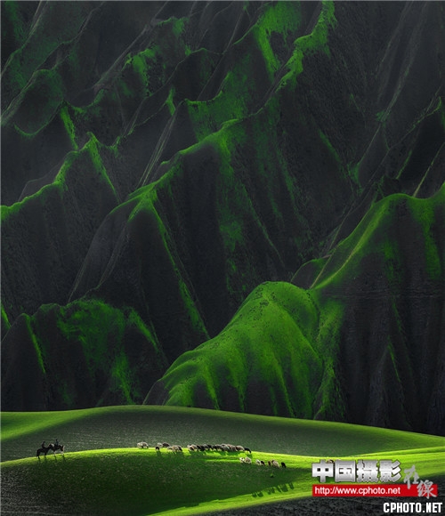 绿野  赵华.jpg