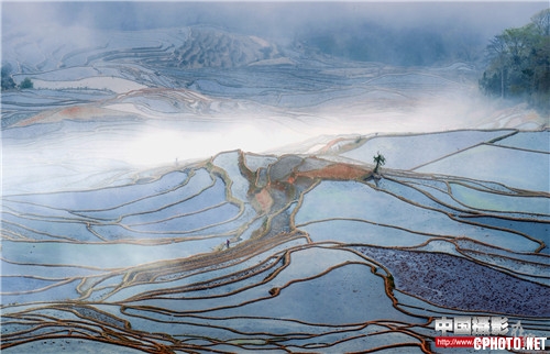 梦幻梯田  陈永恩.jpg