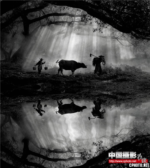霞光似雨 佘佳虎.jpg