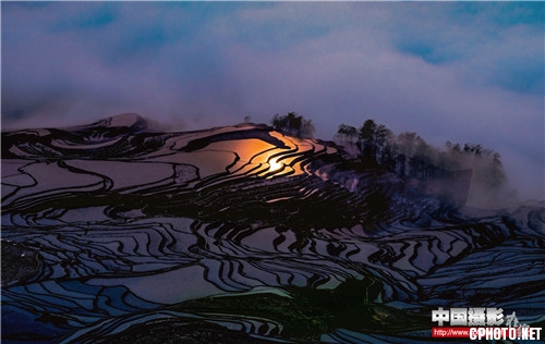 月色梯田  陈永恩.jpg