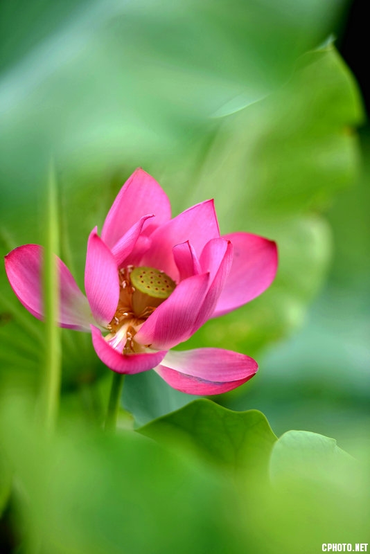 DSC_1089.jpg