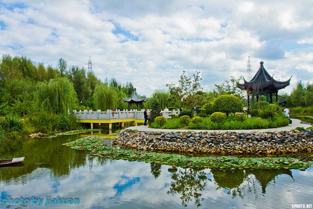 _MG_0008.jpg