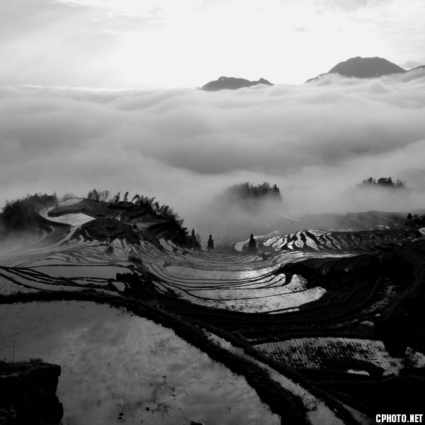 云涌大地Terraced fields in the cloud.jpg