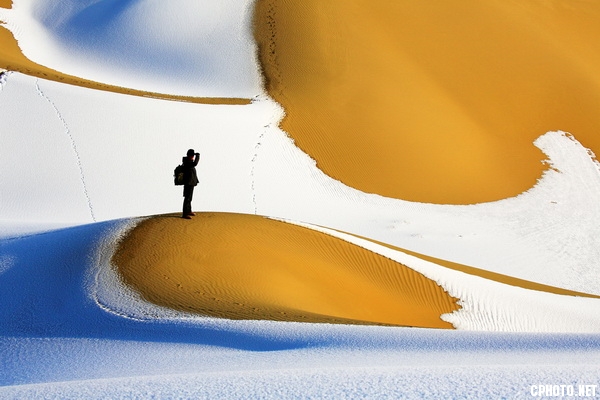 NAPB Gold medal-Jianxin Zhu-Open-The desert traveler.jpg