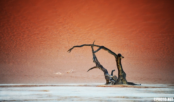 Honourable mention FIAP-Claude SIMON-Belgium-Landscape-Lonely death.jpg