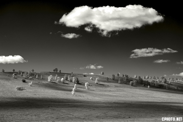 the wild under the clouds 2.jpg