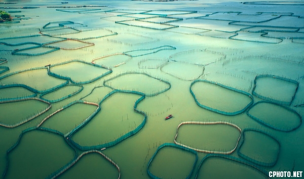 Fishing出渔图.jpg