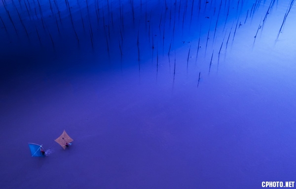 Blue dream蓝色梦境.jpg