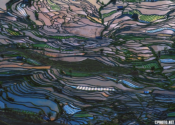 Colorful terraces五彩梯田.jpg
