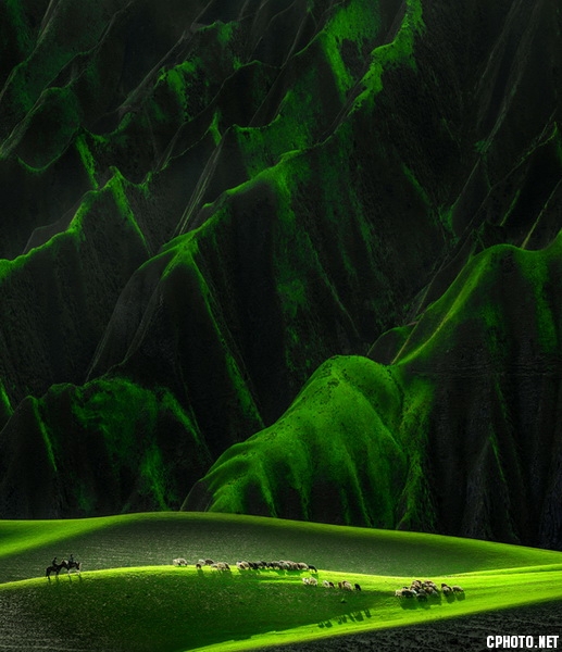 Greenfield绿野.jpg
