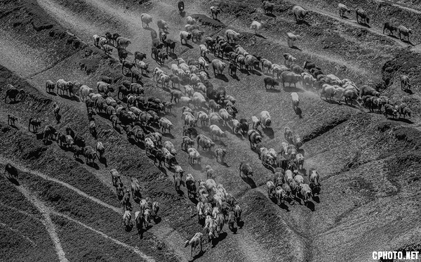 The migration route迁移路上.jpg