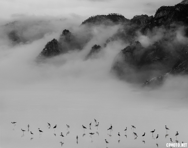Water birds heaven水鸟天地.jpg