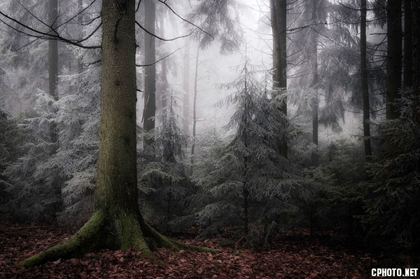 HGE_11217x.jpg