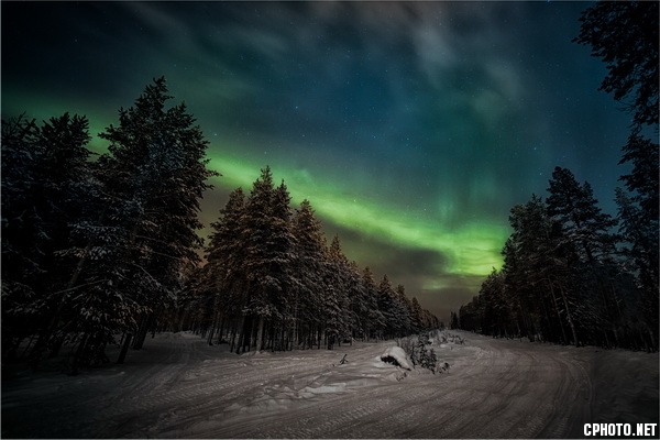 Aurora Borealis-4-CEF GOLD MEDAL.jpg