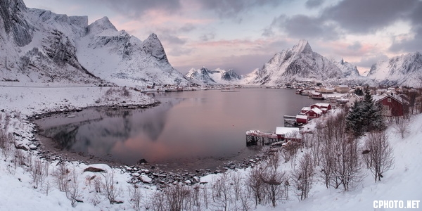Lofoten the dream-CEF GOLD MEDAL.jpg
